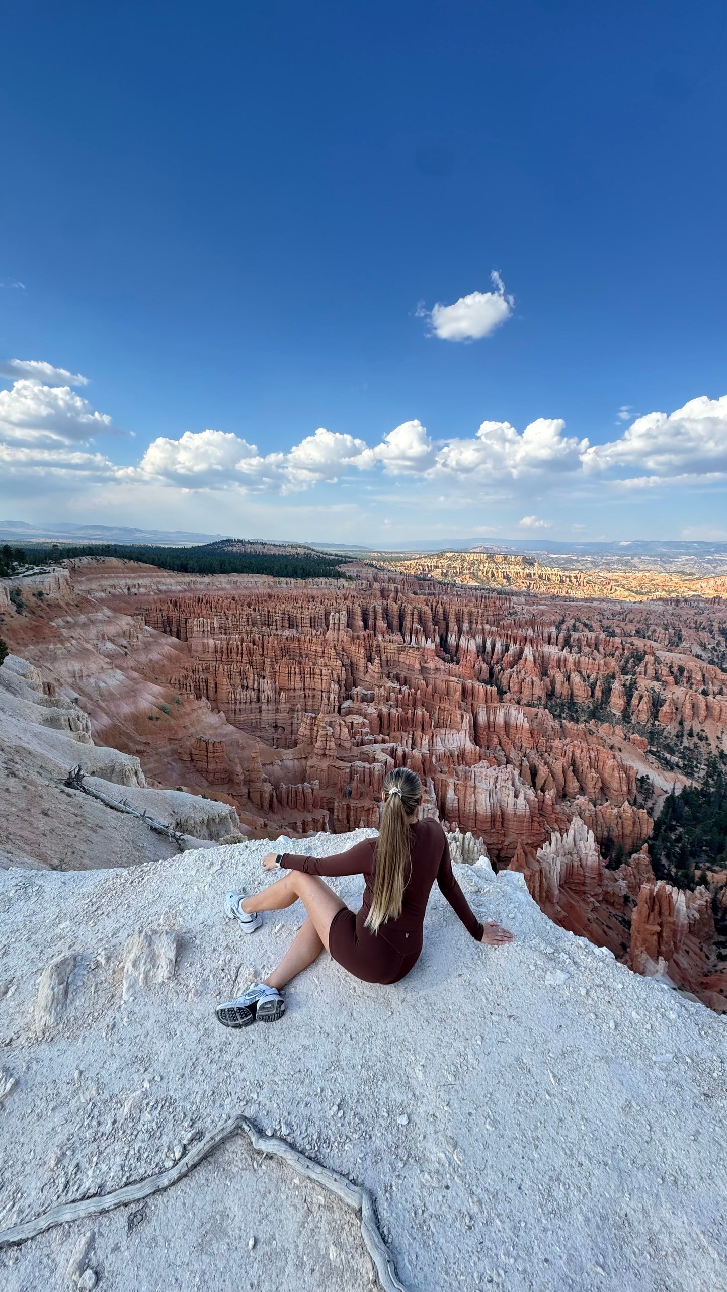 Pilates | Yoga Sculpt Shorts